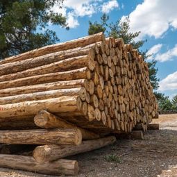 馳騁木業地板加盟優勢 馳騁木業加盟優勢有哪些