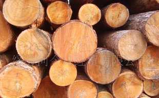 尋求家具廠、木業(yè)公司合作_二手設(shè)備轉(zhuǎn)讓_世界工廠網(wǎng)中國產(chǎn)品信息庫