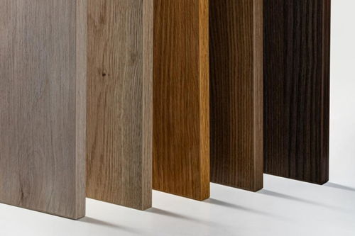 拜勒尼以環保之名 演繹美學空間